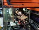 ipe bv lowres66 klein